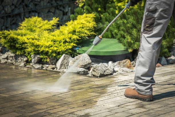 Best Boat and Dock Cleaning  in Shepherd, MI