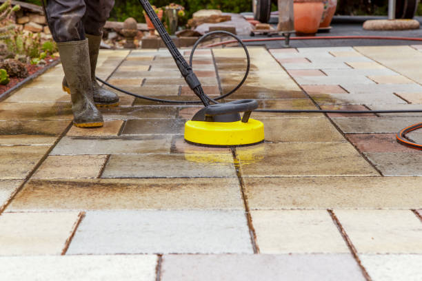 Best Driveway Pressure Washing  in Shepherd, MI