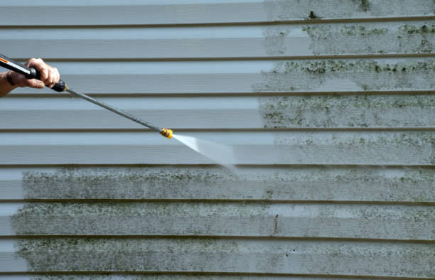Best Patio and Deck Pressure Washing  in Shepherd, MI
