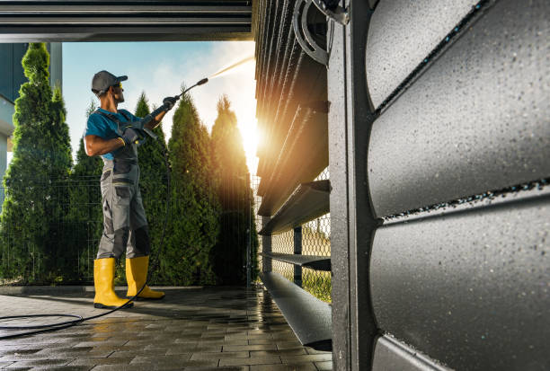 Best Roof Washing  in Shepherd, MI